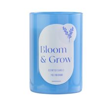 Sonoma Goods For Life® Indigo Blooms 7-oz. Single Wick Scented Candle Jar SONOMA